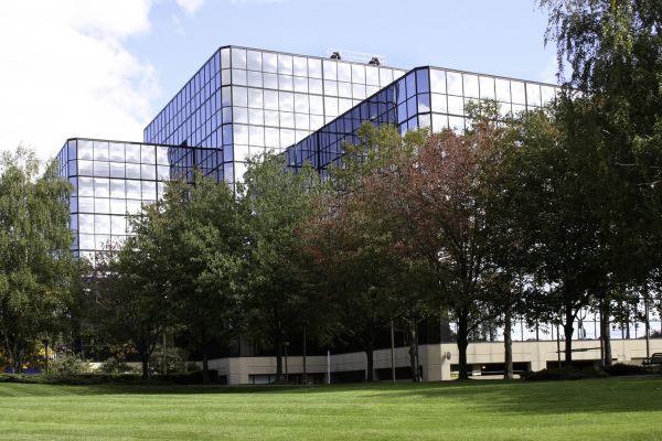 Commercial Tree Trimming in Boston